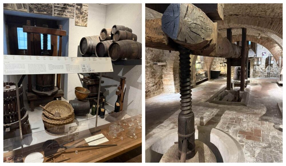 Museo del vino - Torgiano