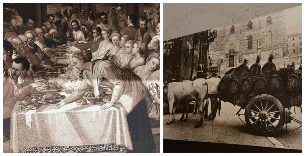 Museo del vino - Torgiano