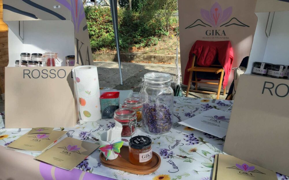 gika-puglia-produttori-zafferano