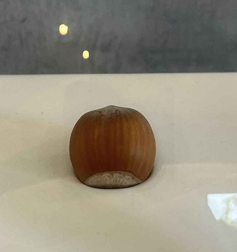 nocciole tonda di Giffoni