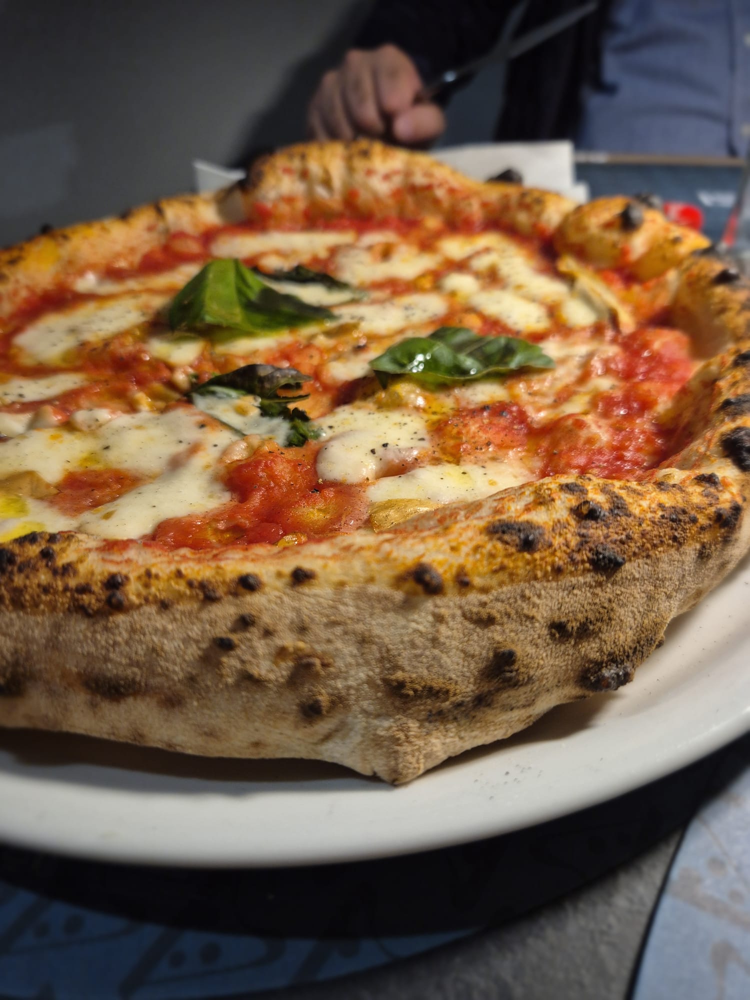 Provola e Pepe - Di Masi