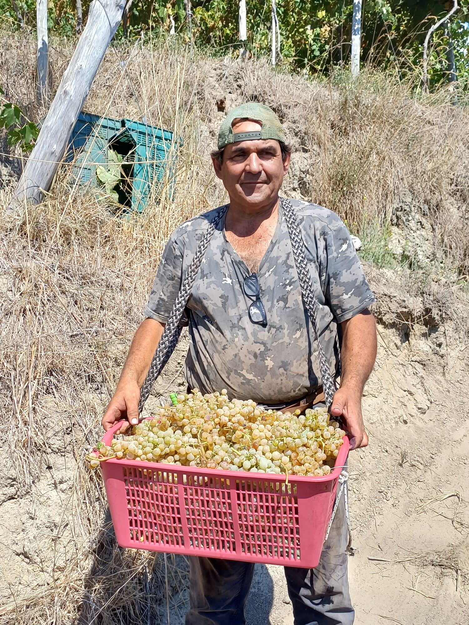 Il viticoltre Raffaele Moccia di <Agnanum