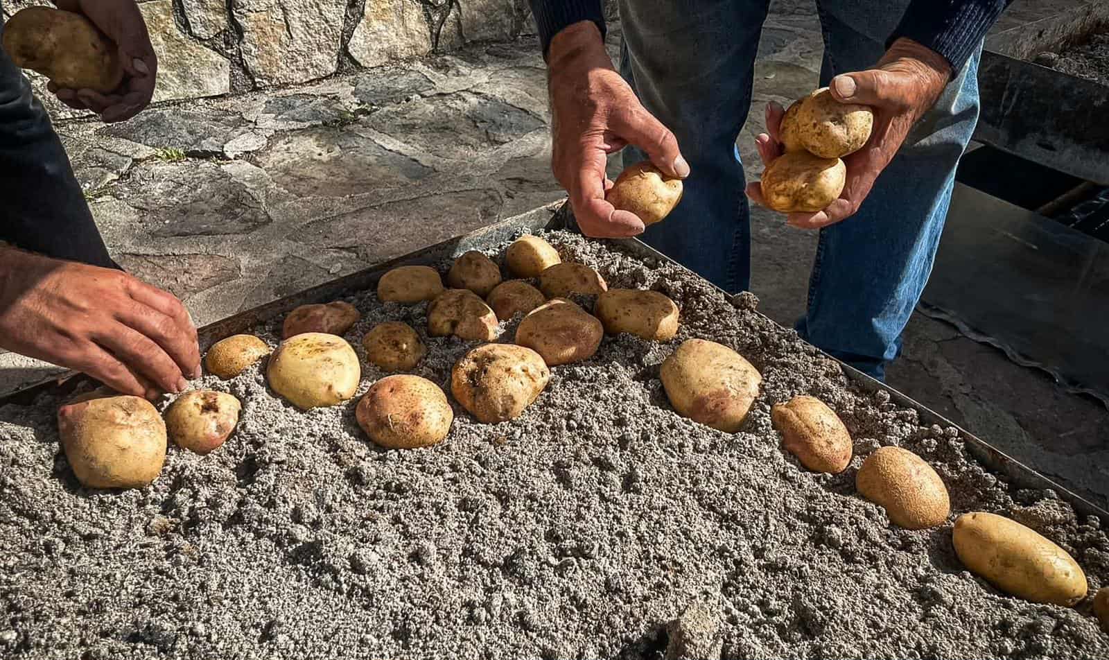 Patate degli Alburni