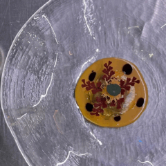 Genovese, radici e futuro: la ricetta di Vincenzo Caiazzo