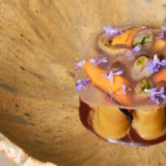 “Bella Mbriana”: la ricetta di Luca Giacchetti