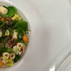 Minestrone&Innovazione: la ricetta di Gabriel Collazzo