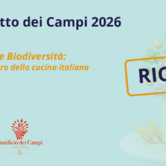 Le 24 ricette di Primo Piatto dei Campi 2026