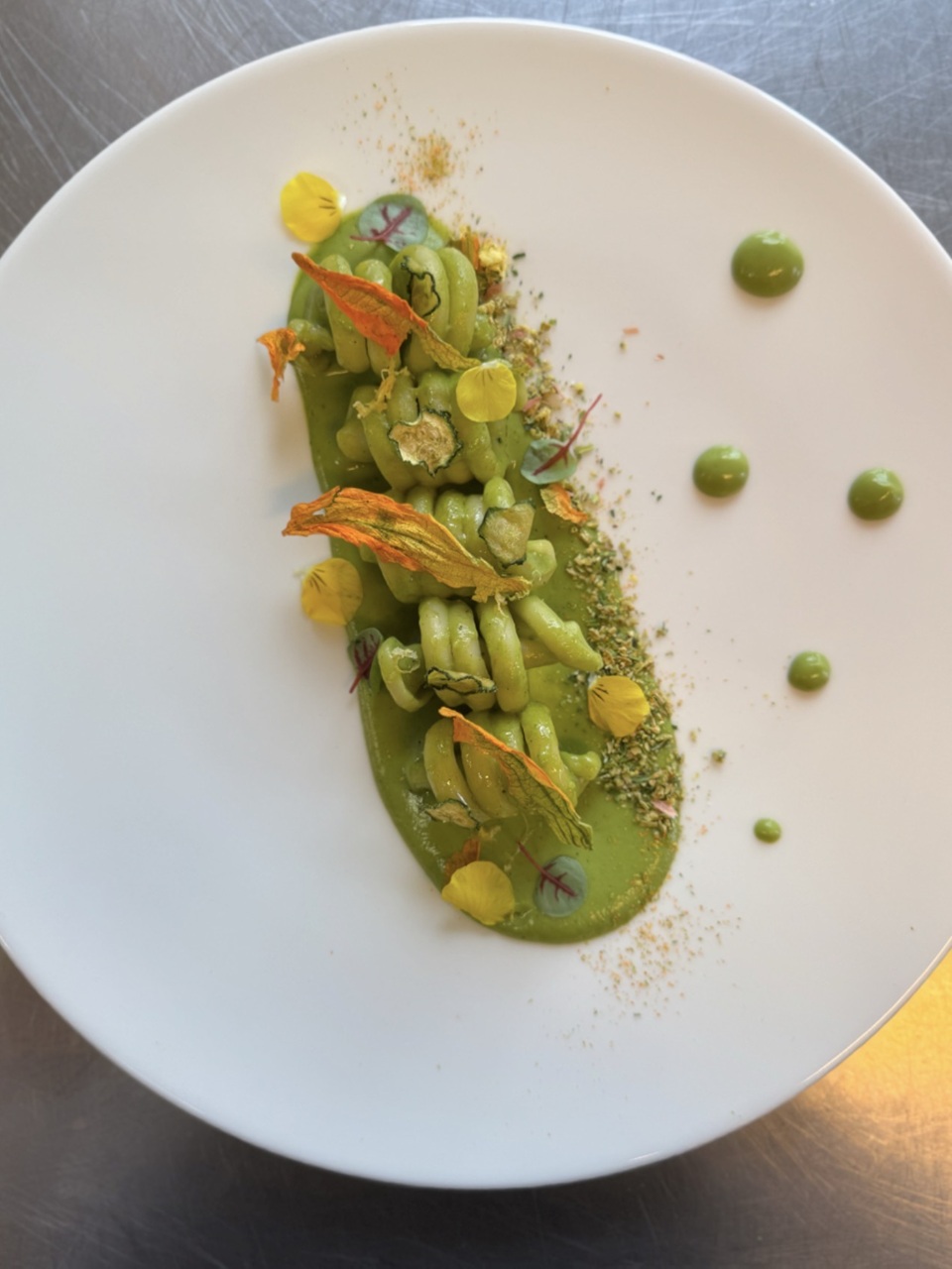 "Zucchina in Evoluzione" - Roberto Gagliano